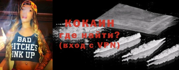 дурь Инсар