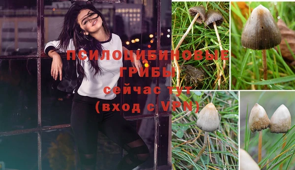 дурь Инсар