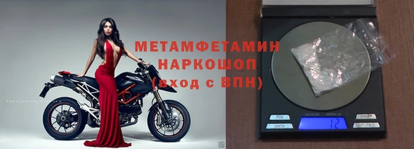 прущие грибы Каменка