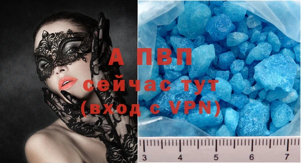 прущие грибы Каменка