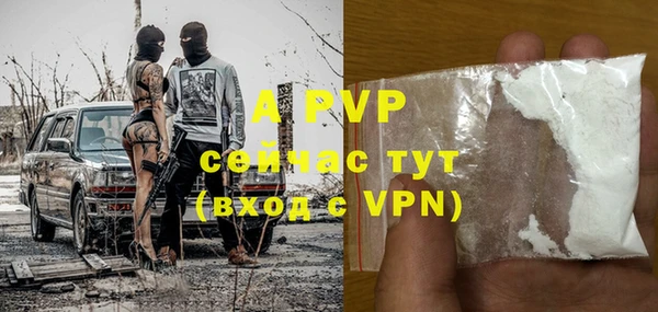 дурь Инсар