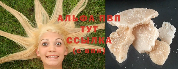прущие грибы Каменка
