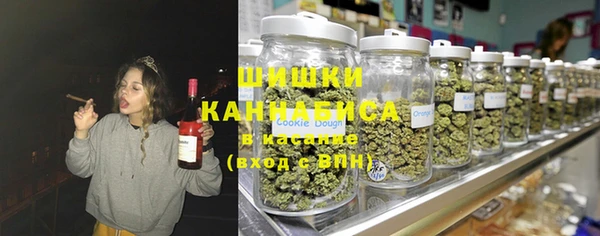 прущие грибы Каменка
