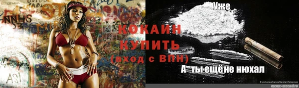 дурь Инсар