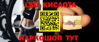 крисы Лесосибирск