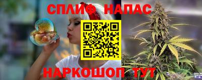 крисы Лесосибирск
