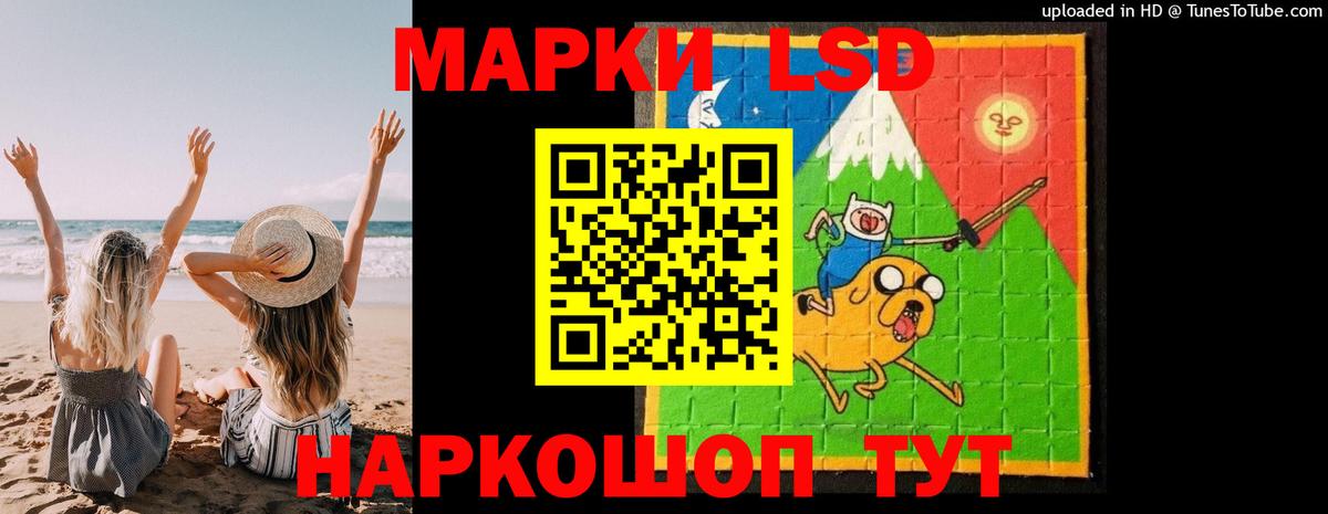 Кингисепп  ЛСД экстази кислота  Вход с VPN 
