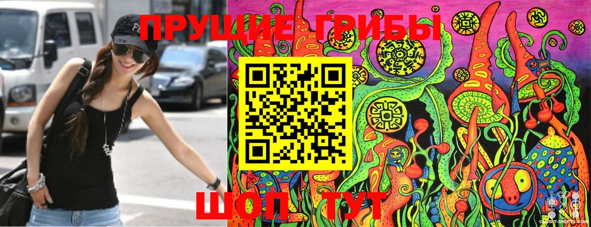 Галлюциногенные грибы Cubensis  Вход с VPN  купить закладку  Галлюциногенные грибы MAGIC MUSHROOMS  Кингисепп 