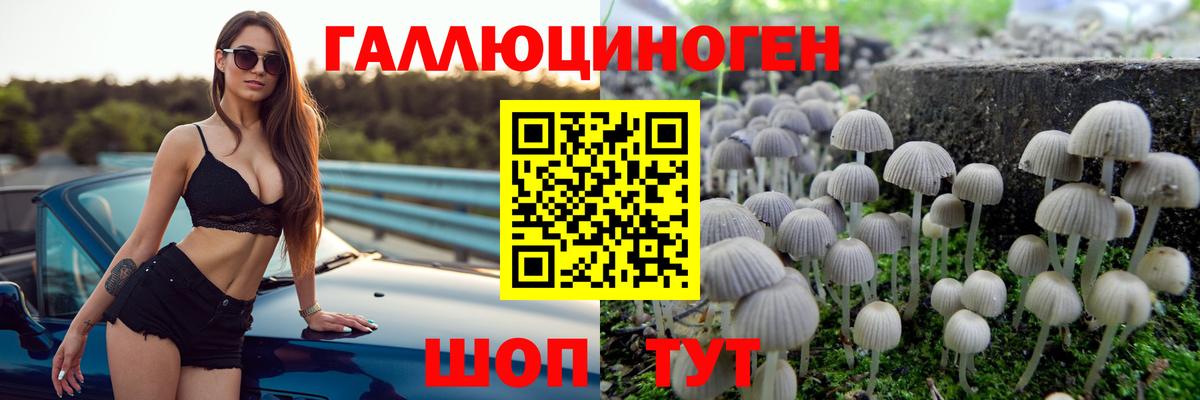 Псилоцибиновые грибы MAGIC MUSHROOMS Кингисепп